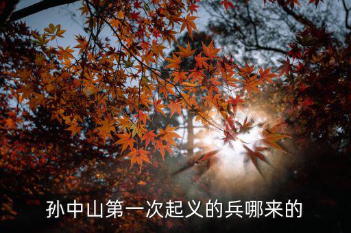 孫中山一共有多少次起義,清朝年間發生多少次農民起義