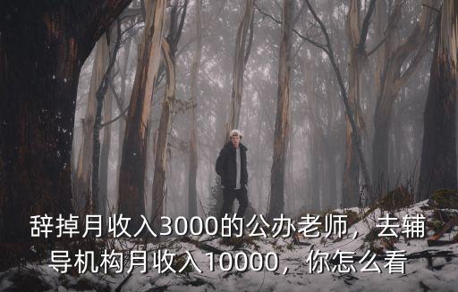辭掉月收入3000的公辦老師，去輔導機構月收入10000，你怎么看