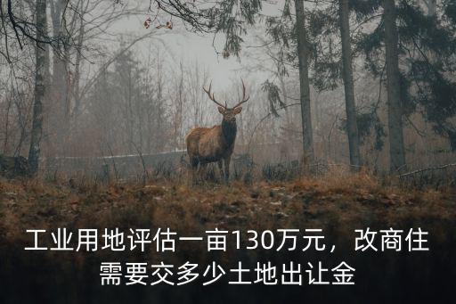 廣東揭陽工業用地多少錢一畝地,工業用地評估一畝130萬元