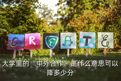 大學(xué)里的“中外合作”是什么意思可以降多少分