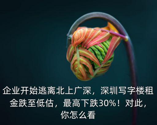 企業(yè)開始逃離北上廣深，深圳寫字樓租金跌至低估，最高下跌30%！對此，你怎么看