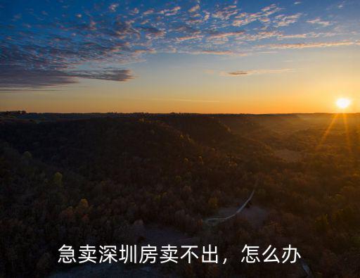 急賣深圳房賣不出，怎么辦