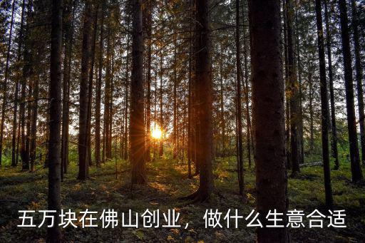 五萬(wàn)塊在佛山創(chuàng)業(yè)，做什么生意合適