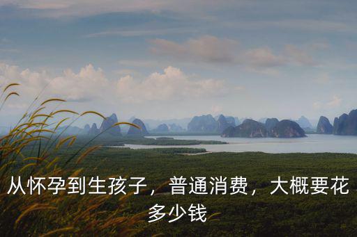 湖州生孩子費用大概多少,從懷孕到生孩子