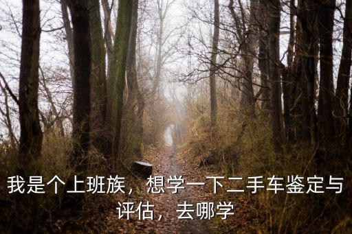 溫州一對一二手車鑒定培訓(xùn)多少錢,想學(xué)一下二手車鑒定與評估