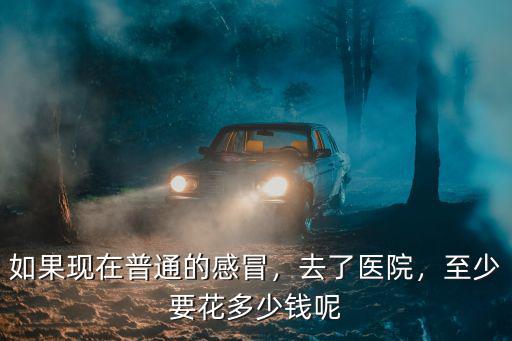 如果現在普通的感冒，去了醫院，至少要花多少錢呢