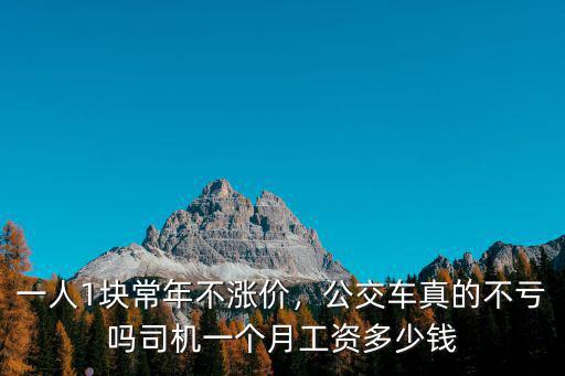 一人1塊常年不漲價，公交車真的不虧嗎司機一個月工資多少錢