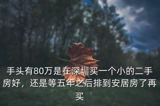 手頭有80萬(wàn)是在深圳買(mǎi)一個(gè)小的二手房好，還是等五年之后排到安居房了再買(mǎi)