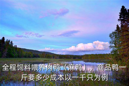 云浮市新興縣麻鴨多少一斤,商品鴨一斤要多少成本
