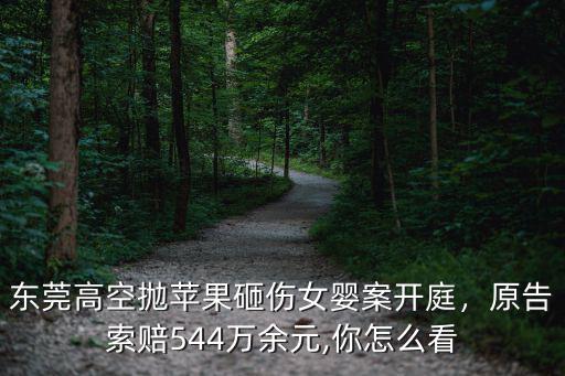 東莞高空拋蘋果砸傷女嬰案開庭，原告索賠544萬余元,你怎么看
