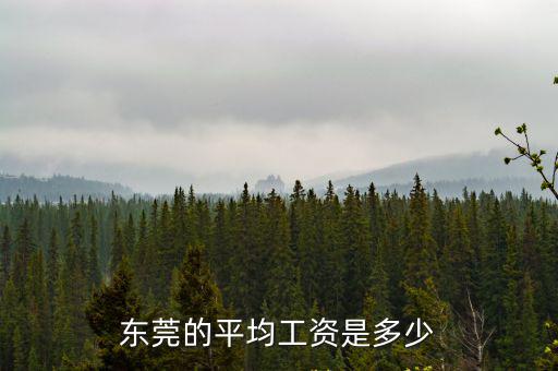 東莞的平均工資是多少