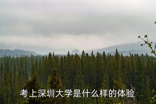 有多少人考上深圳大學,考上深圳大學不開心怎么辦