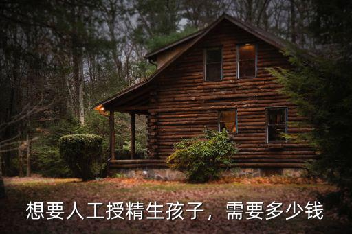 想要人工授精生孩子，需要多少錢