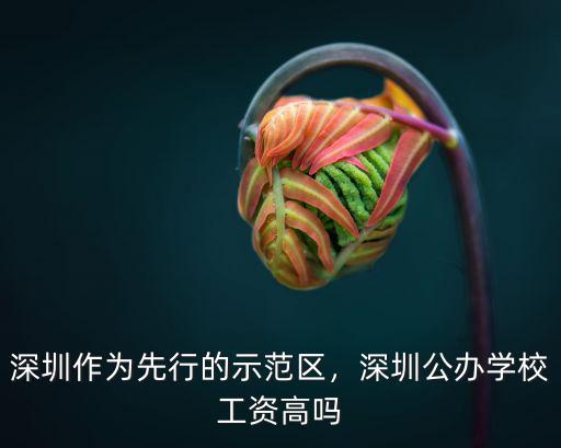 深圳作為先行的示范區，深圳公辦學校工資高嗎