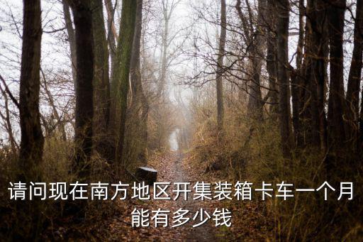 請(qǐng)問(wèn)現(xiàn)在南方地區(qū)開(kāi)集裝箱卡車(chē)一個(gè)月能有多少錢(qián)