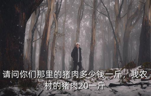 請問你們那里的豬肉多少錢一斤，我農村的豬肉20一斤