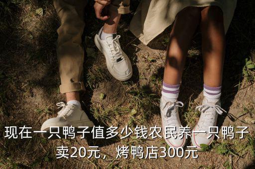 湛江今日鴨價(jià)多少錢一只,活鴨子一只需要幾十塊錢