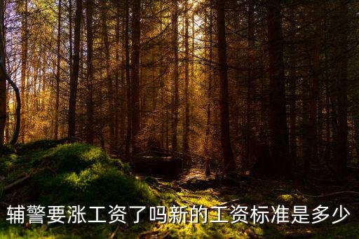 輔警要漲工資了嗎新的工資標(biāo)準(zhǔn)是多少