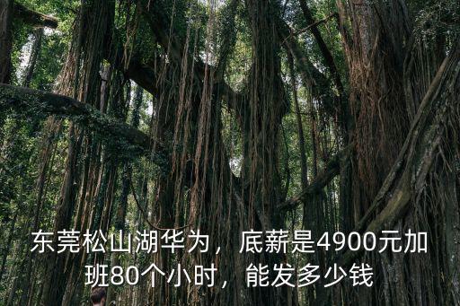 東莞松山湖華為，底薪是4900元加班80個小時，能發(fā)多少錢