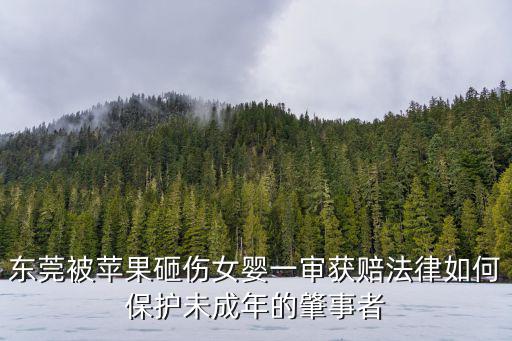 東莞被蘋果砸傷女嬰一審獲賠法律如何保護未成年的肇事者