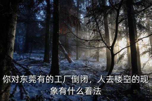 你對東莞有的工廠倒閉，人去樓空的現象有什么看法