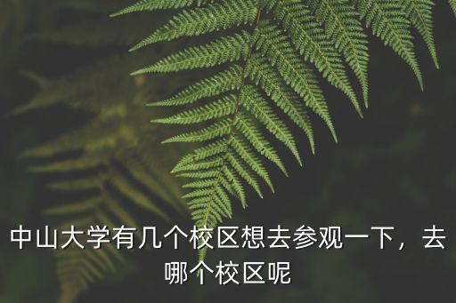 中山大學(xué)校區(qū)面積有多少公里,中山大學(xué)有幾個(gè)校區(qū)