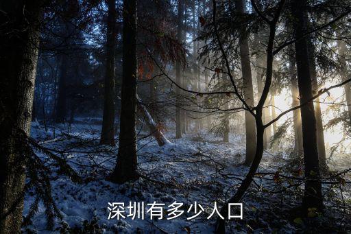深圳有多少人口