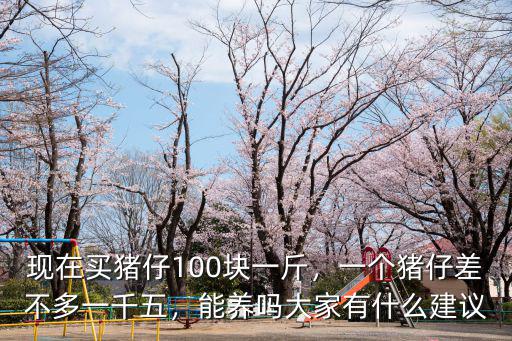 廣東三雜豬仔多少一個(gè),一個(gè)豬仔差不多一千五