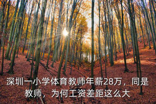 深圳高中體育老師工資多少,為何工資差距這么大
