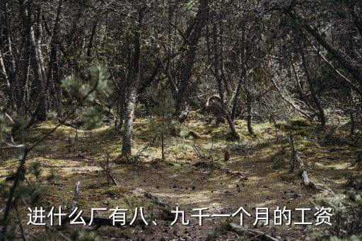 深圳至富毛織廠工資多少錢一個月,深圳工資一個月5000