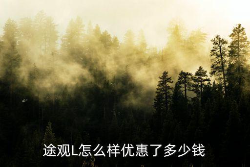 途觀l中山優(yōu)惠多少錢,優(yōu)惠了多少錢