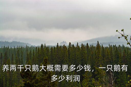 清遠小鵝多少錢一只,養兩千只鵝大概需要多少錢