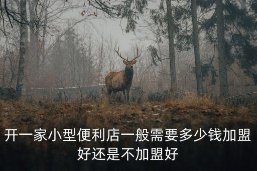 梅州加盟便利店多少錢,開一間便利店需要投資多少錢