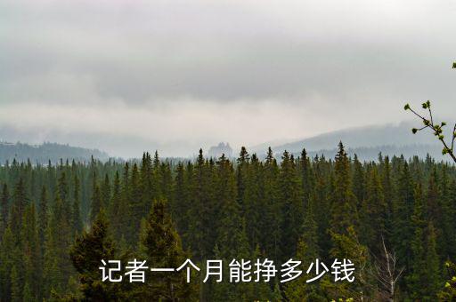 廣州少爺能掙多少錢一個月,記者一個月能掙多少錢