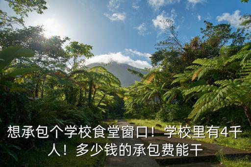 江門中學食堂承包多少錢,想承包個學校食堂窗口