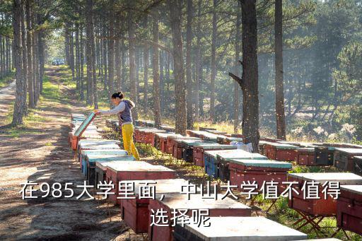 中山大學2019在貴州招多少人,在985大學里面