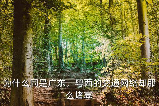 廣東粵西有多少汽車,為什么同是廣東