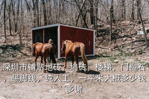 深圳市鋪貼地磚，墻磚，樓梯，門檻石，踢腳線，純人工，一平米大概多少錢多謝
