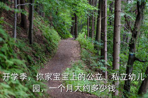 開學季，你家寶寶上的公立、私立幼兒園，一個月大約多少錢