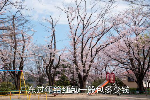 廣東過(guò)年給紅包一般包多少錢(qián)