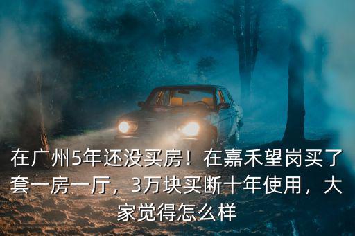 在廣州5年還沒買房！在嘉禾望崗買了套一房一廳，3萬塊買斷十年使用，大家覺得怎么樣