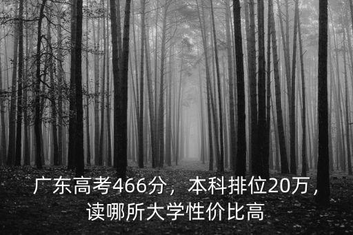 廣東考上本科大概多少分,廣東高考466分