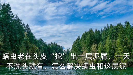 螨蟲老在頭皮“挖”出一層泥屑，一天不洗頭就有，怎么解決螨蟲和這層泥