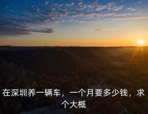 在深圳養(yǎng)一輛車，一個(gè)月要多少錢，求個(gè)大概