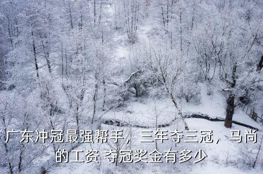 廣東奪冠獎(jiǎng)金多少錢(qián),廣東沖冠最強(qiáng)幫手