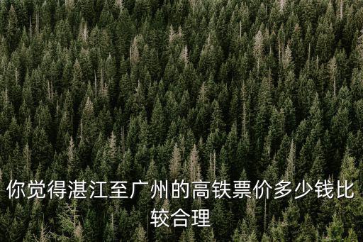 湛江到廣州的動車票價多少錢,湛江高鐵的票價
