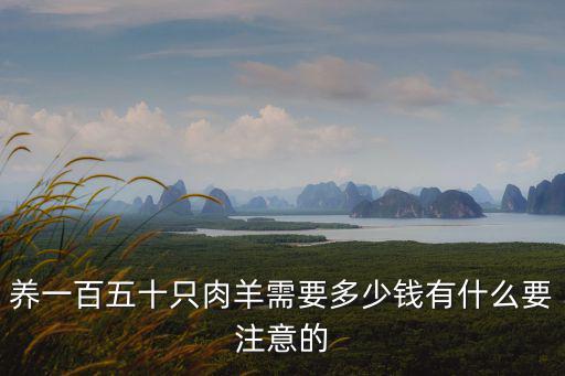 養一百五十只肉羊需要多少錢有什么要注意的