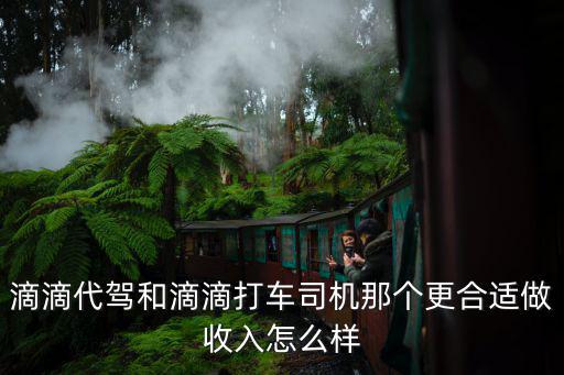 滴滴代駕和滴滴打車司機那個更合適做收入怎么樣