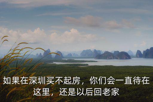 如果在深圳買(mǎi)不起房，你們會(huì)一直待在這里，還是以后回老家