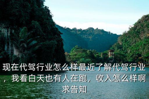 現在代駕行業怎么樣最近了解代駕行業，我看白天也有人在跑，收入怎么樣啊求告知